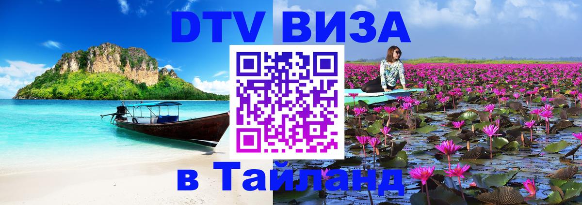 Сколько стоит DTV виза — актуальные цены, оформление даже без документов - 09.01.2026 